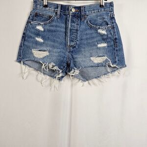 Aritzia Denim Forum The Ex Boyfriend Shorts Mid Wash - Size 26